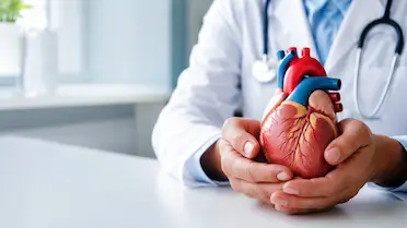 Colesterol HDL: É bom ou ruim? Entenda os valores ideais