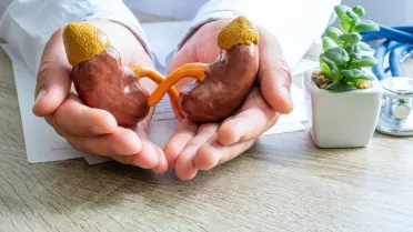 Insuficiência renal crónica: o que é, sintomas, causas e prevenção